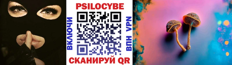 Купить где  Подольск  Галлюциногенные грибы GOLDEN TEACHER 